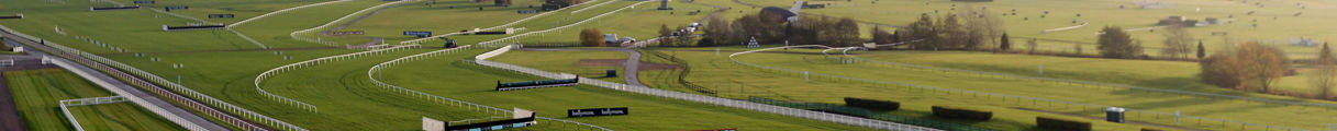 The Course.jpg