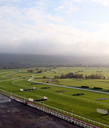 The Course.jpg