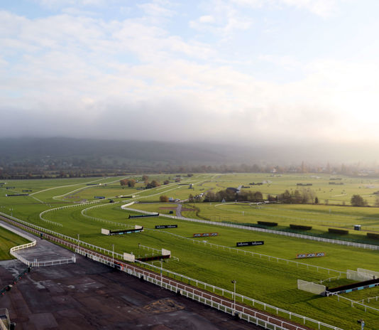 The Course.jpg